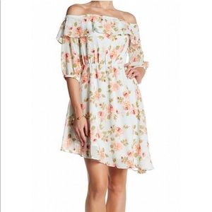 NWT. Nordstrom Dress.